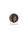 RIBBON HAIRCLIP, BROWN, CORDUROY