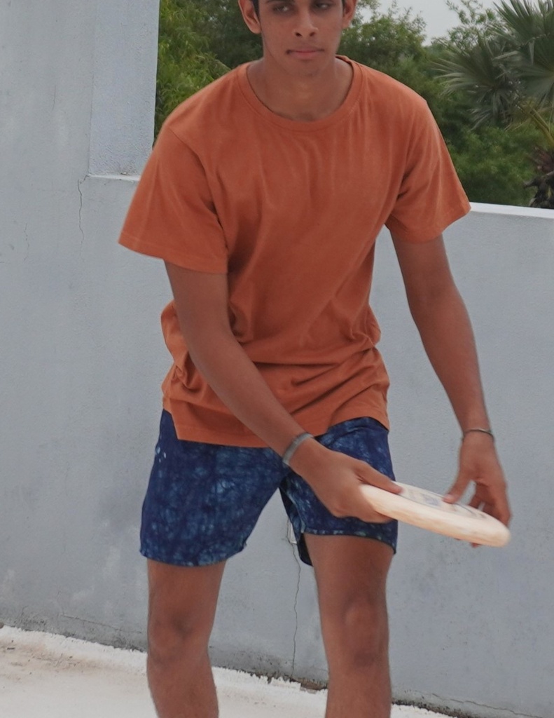 PLAIN T-SHIRT, BROWN EARTH, COTTON